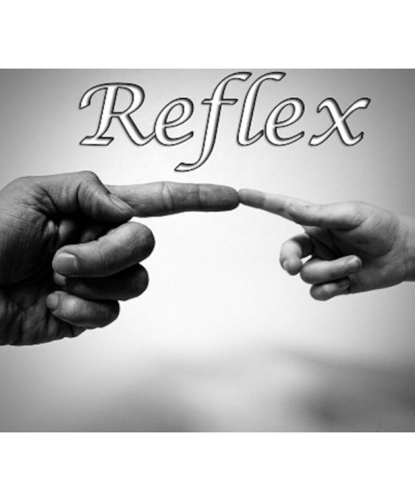 RefleX Steam Key GLOBAL